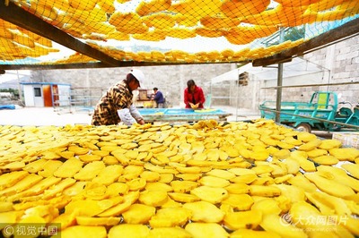 枣庄农产品华丽变身 深加工与品牌升级，绘就农民增收新画卷