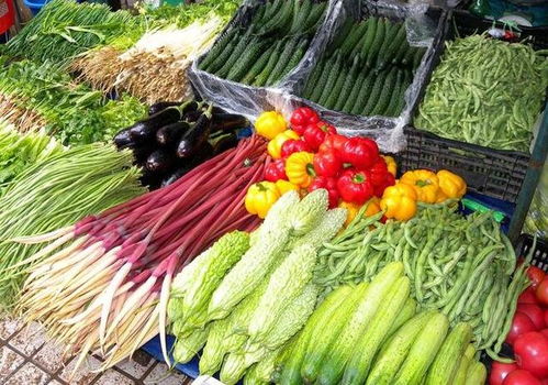 农产品安全食用指南 新型冠状病毒的风险与处理方法