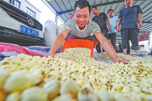 江西农产品喜获丰收，绘就乡村振兴新画卷