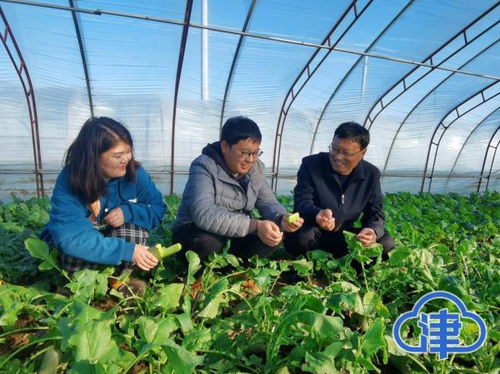 创建农产品区域公共品牌 提升天津农产品竞争力的关键举措