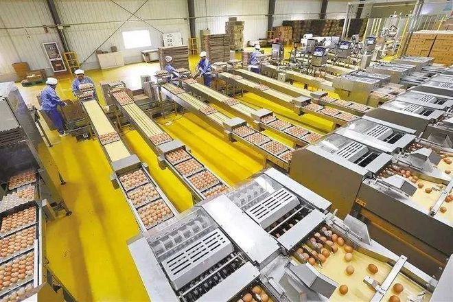 慈溪入选国家数字乡村试点地区名单，数字技术赋能农产品发展